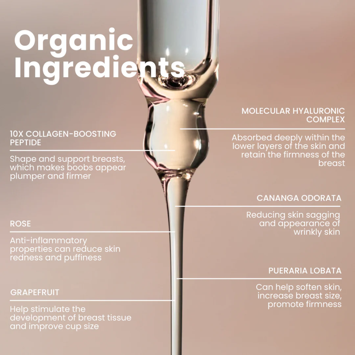 Bust Lift Oil - Naturally Lifted, Fuller Bust