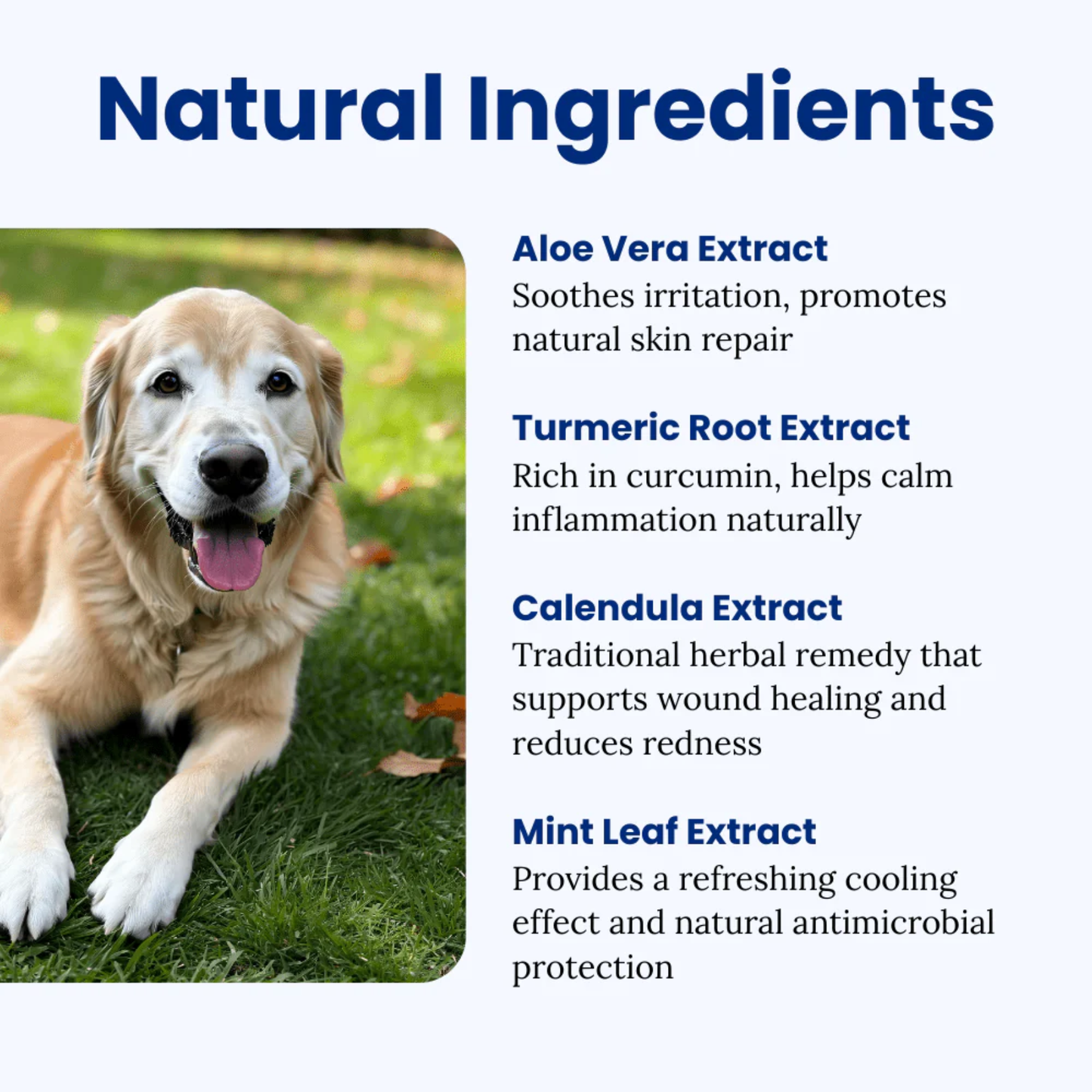 Optikind Healing Spray